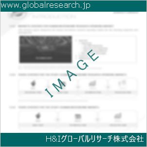 グローバルリサーチ調査資料のイメージ